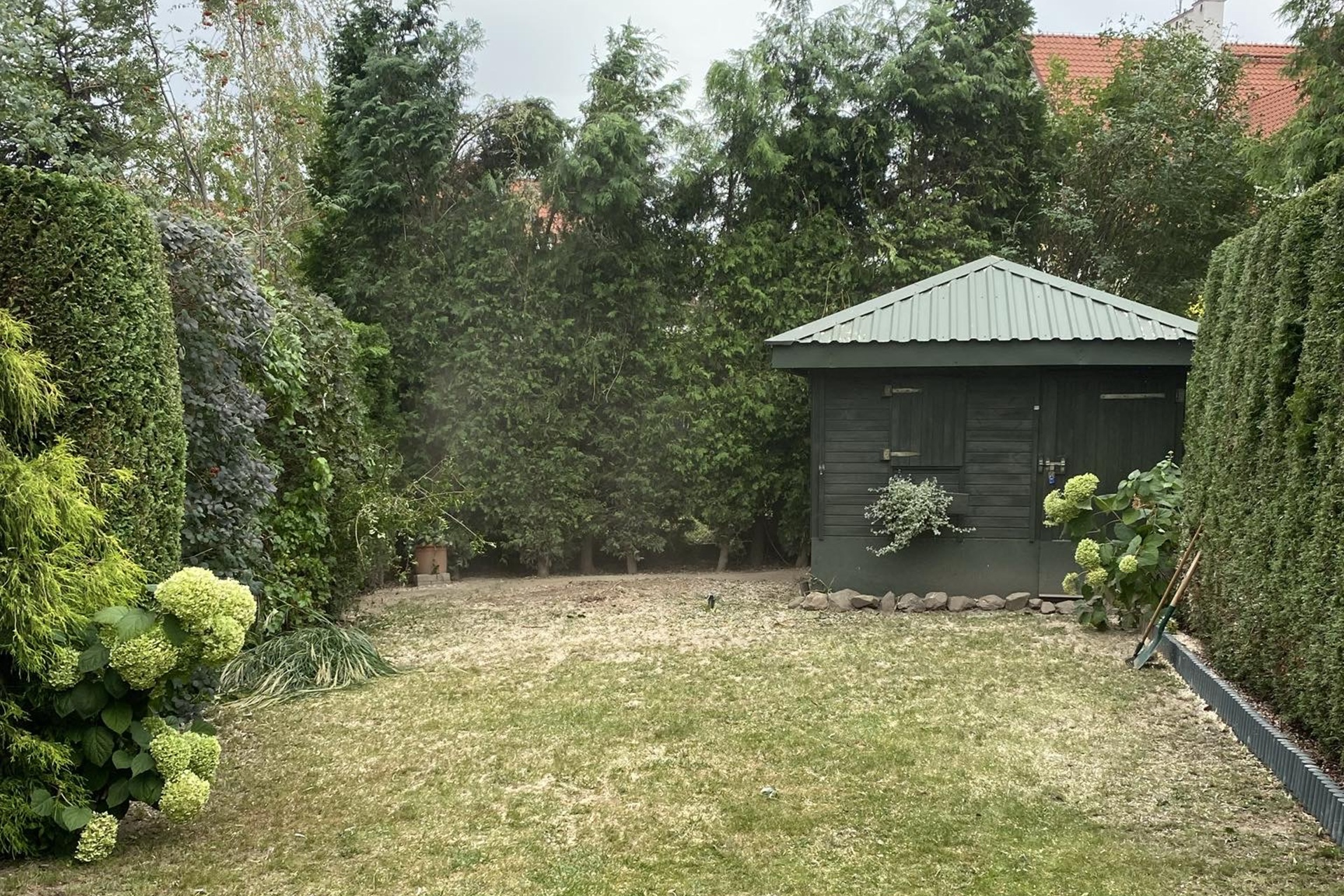 Miniatura artykułu Koszenie traw – kiedy warto zlecić usługę profesjonalnej firmie, zamiast robić to samemu?