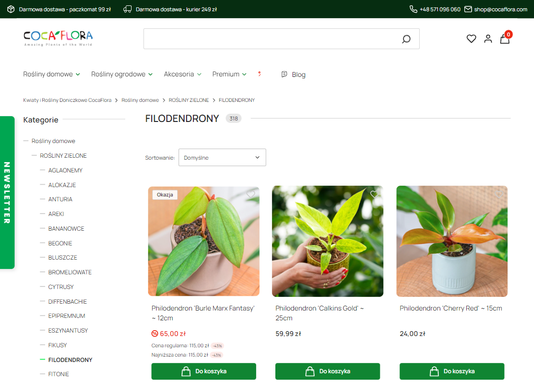 Jakie filodendrony sprawdzą się u początkujących i w małych mieszkaniach?
