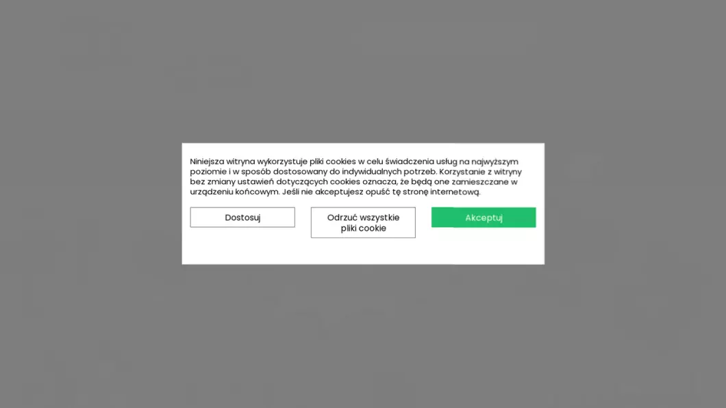 Zrzut ekranu strony firmy Kidmann Toys