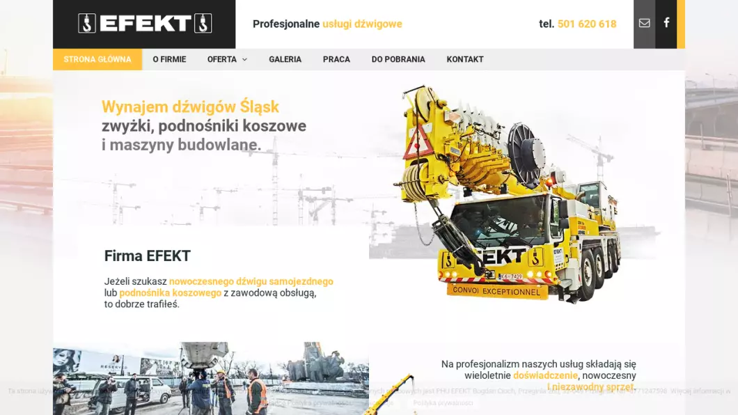 Zrzut ekranu strony firmy Dźwigi  i Zwyżki  EFEKT