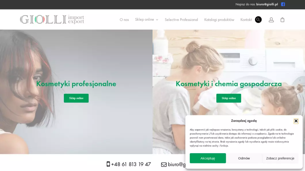 Zrzut ekranu strony firmy Giolli  - hurtownia chemii włoskiej