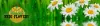 Logo firmy Medi-Flowery